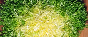 Frisée